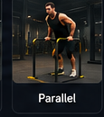 Parallel Bar Dip
