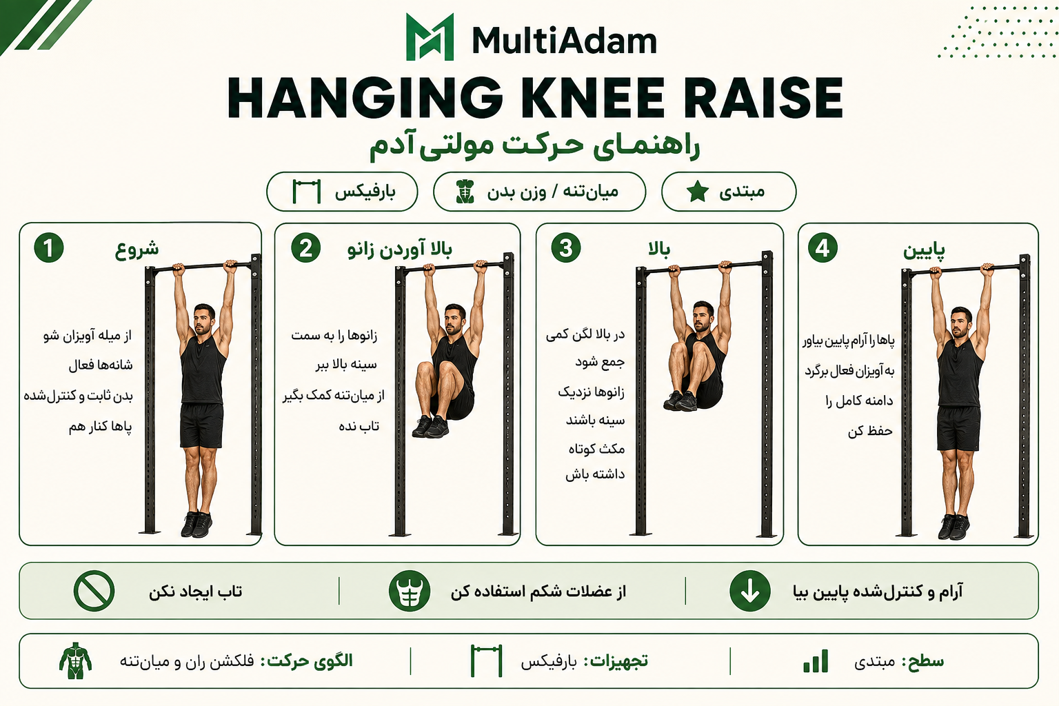 Hanging Knee Raise